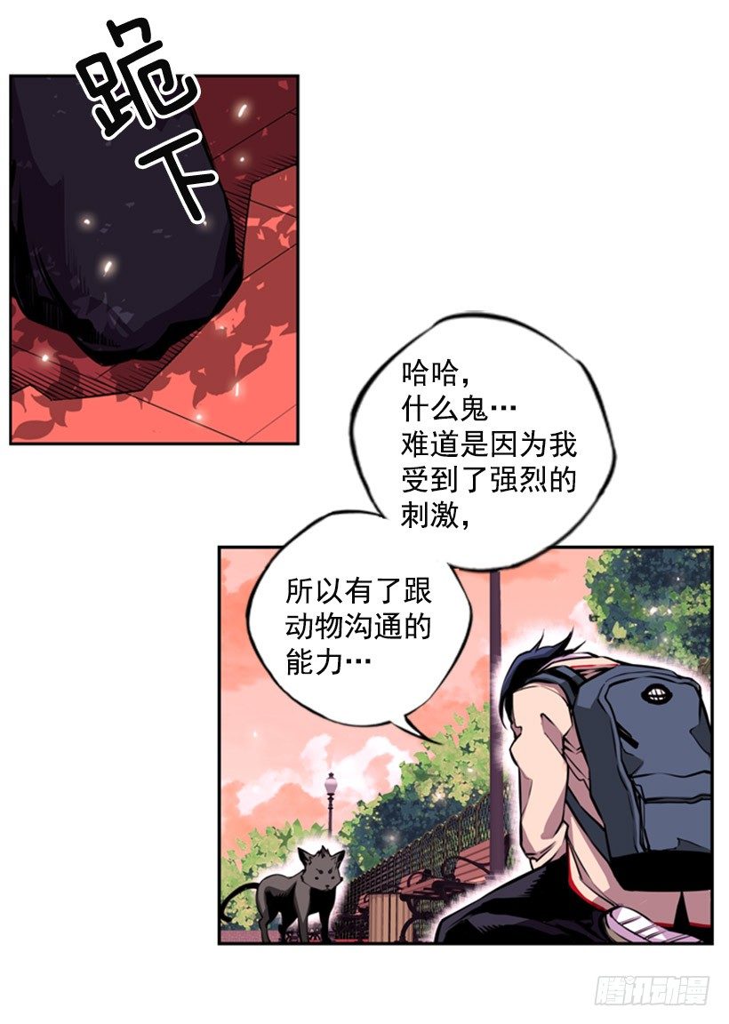 《斗神养成实录》斗神 第11页