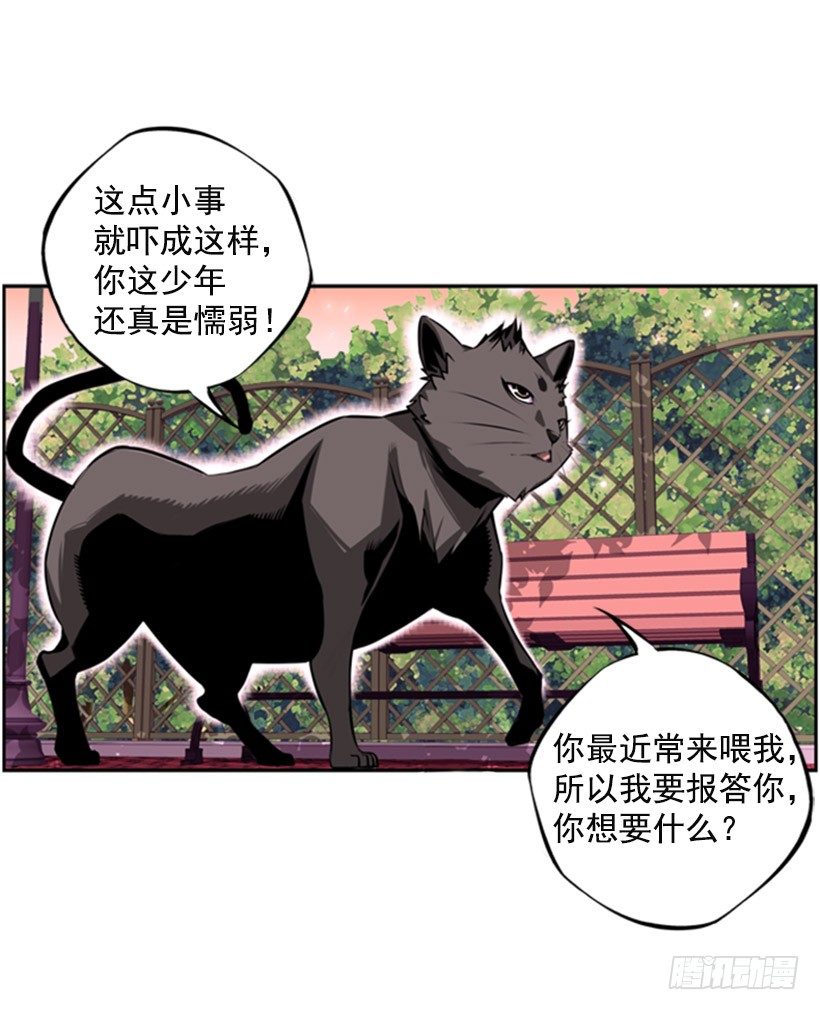 《斗神养成实录》斗神 第12页