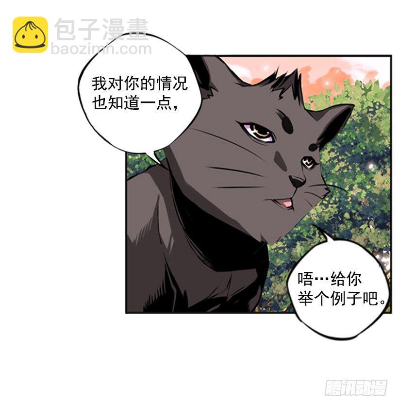 《斗神养成实录》斗神 第14页