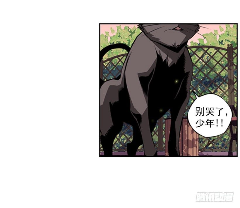《斗神养成实录》斗神 第2页