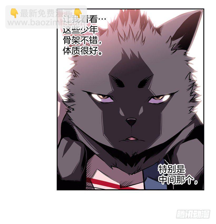 《斗神养成实录》斗神 第36页