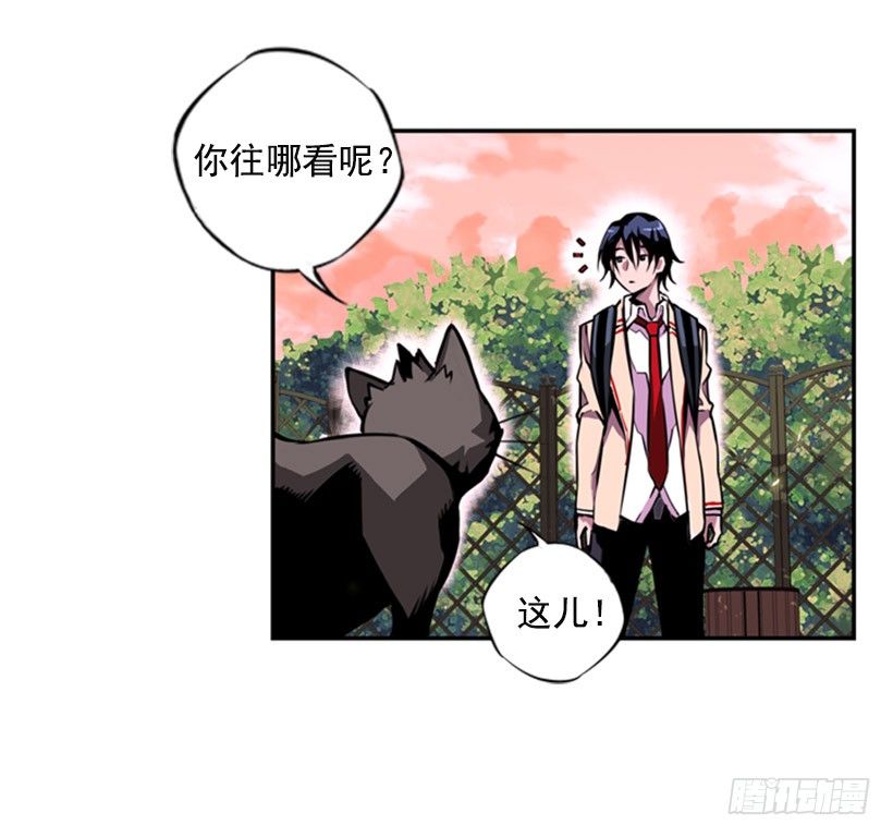 《斗神养成实录》斗神 第6页