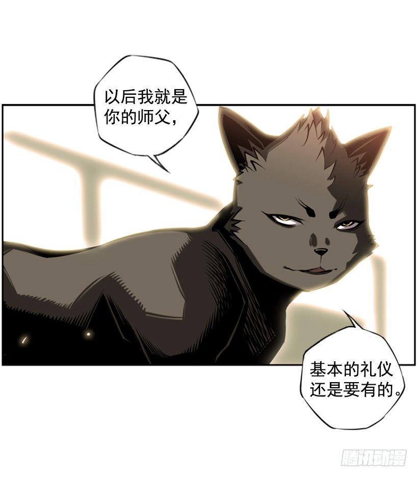 《斗神养成实录》拜师 第11页