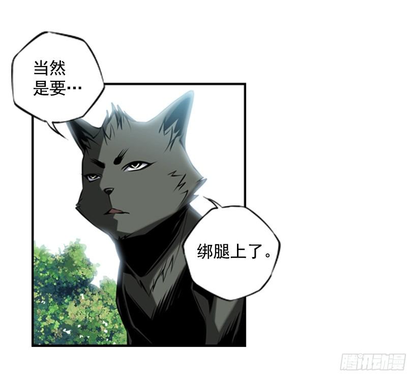 《斗神养成实录》意志坚定 第14页
