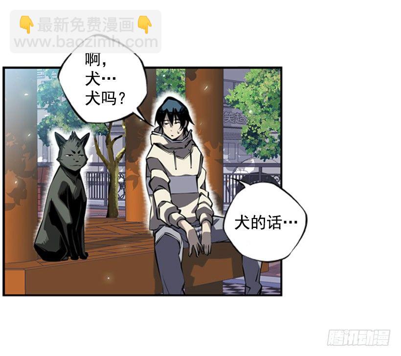 《斗神养成实录》意志坚定 第36页