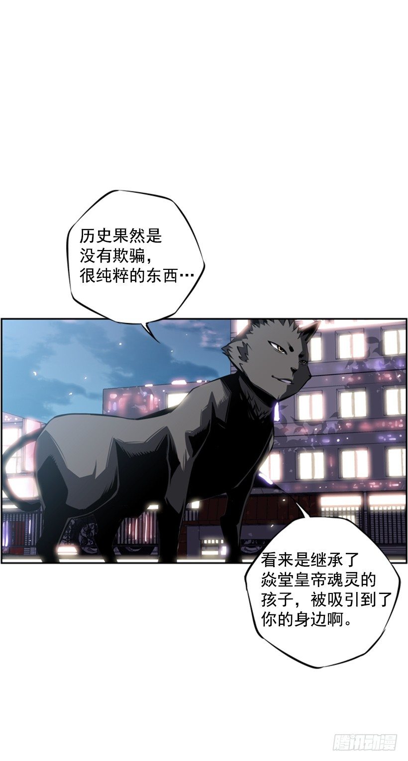 《斗神养成实录》魂灵 第31页