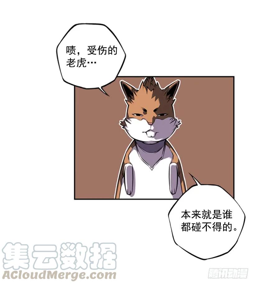 《斗神养成实录》来干一场吧 第37页