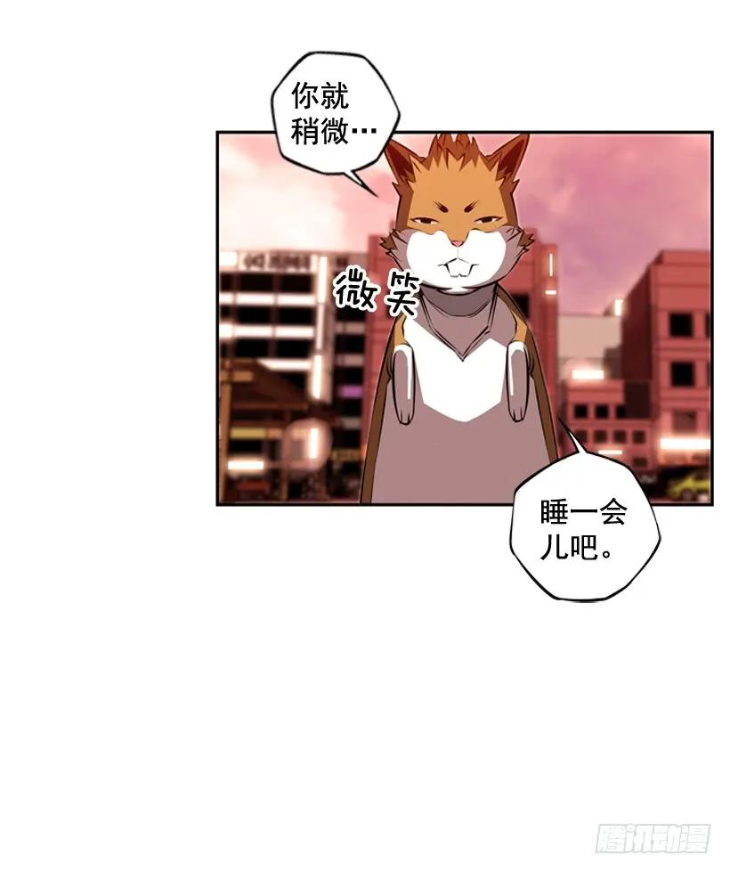 《斗神养成实录》经验不足 第20页