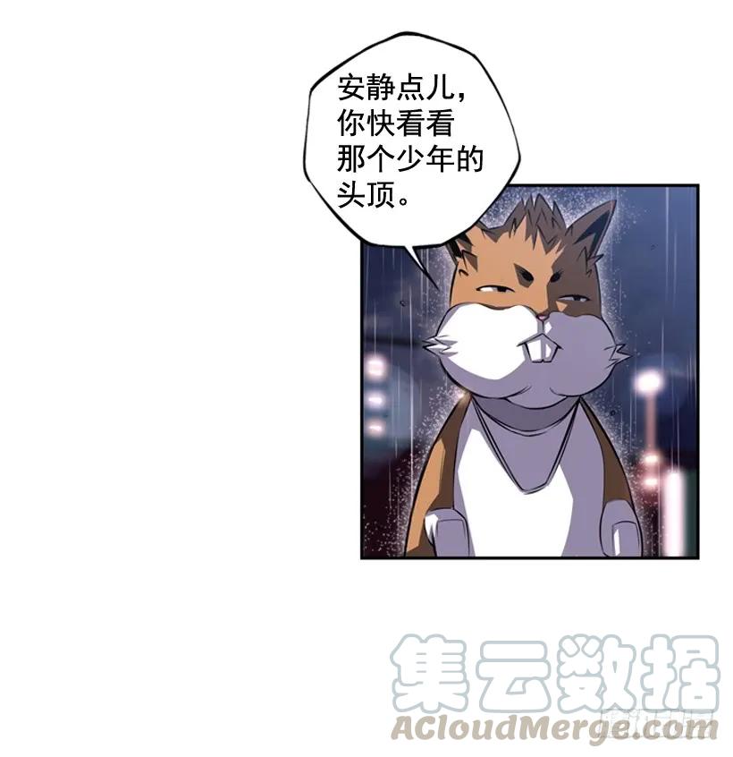 《斗神养成实录》头顶的魂灵 第45页