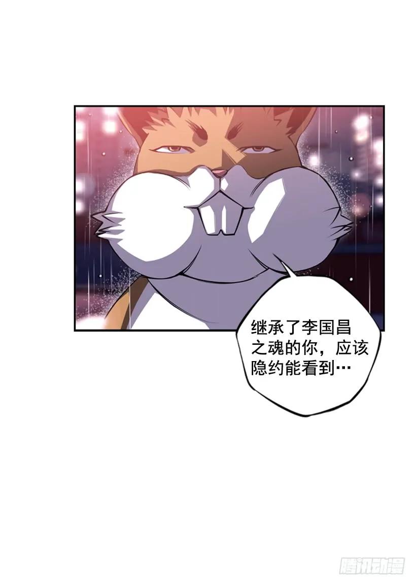 《斗神养成实录》头顶的魂灵 第47页