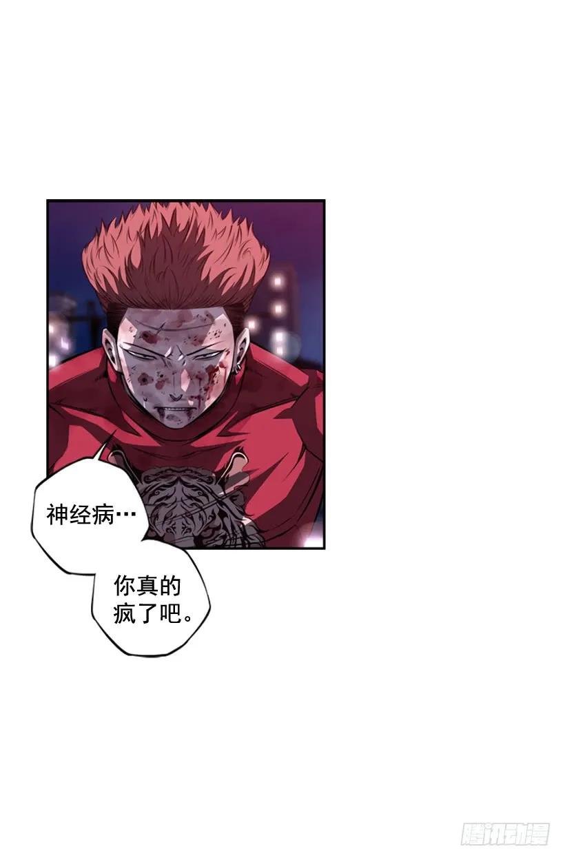 《斗神养成实录》重生的江山明 第15页