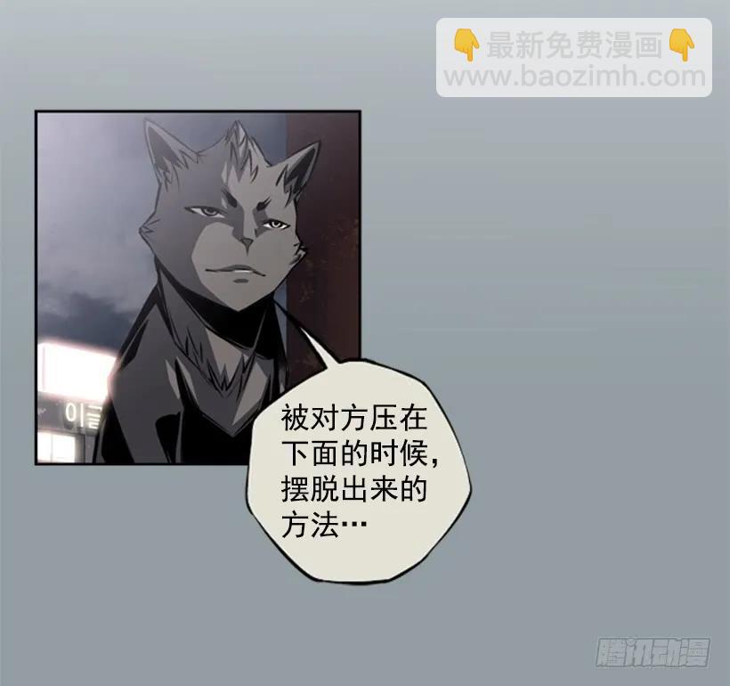 《斗神养成实录》不能错过的瞬间 第26页