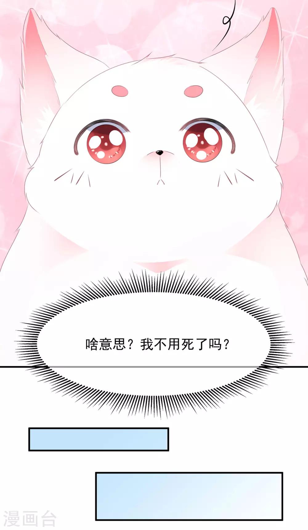 《狐妃,别惹我》第2话 无奈成宠 第21页