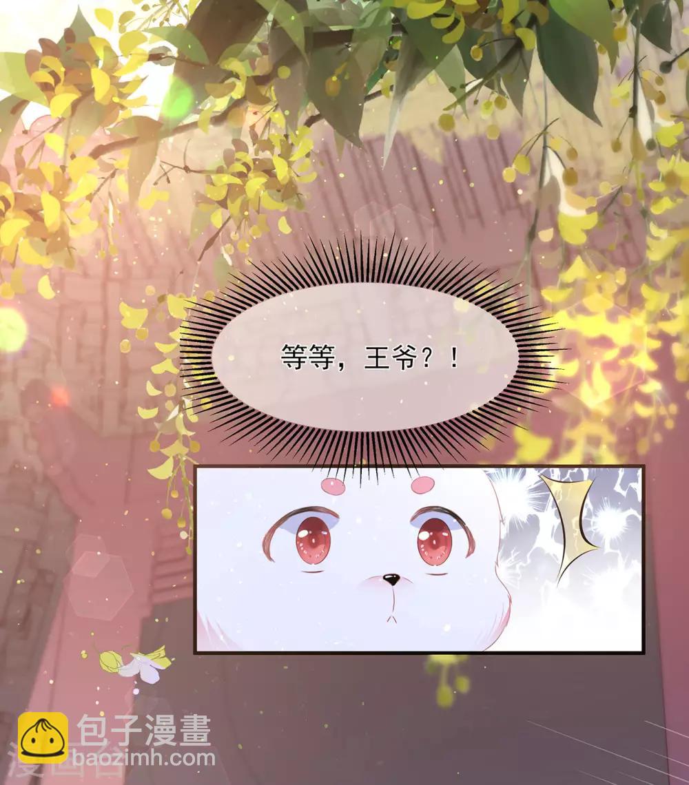 《狐妃,别惹我》第2话 无奈成宠 第6页