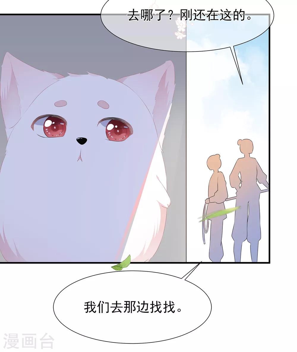 《狐妃,别惹我》第1话 穿越成狐 第15页