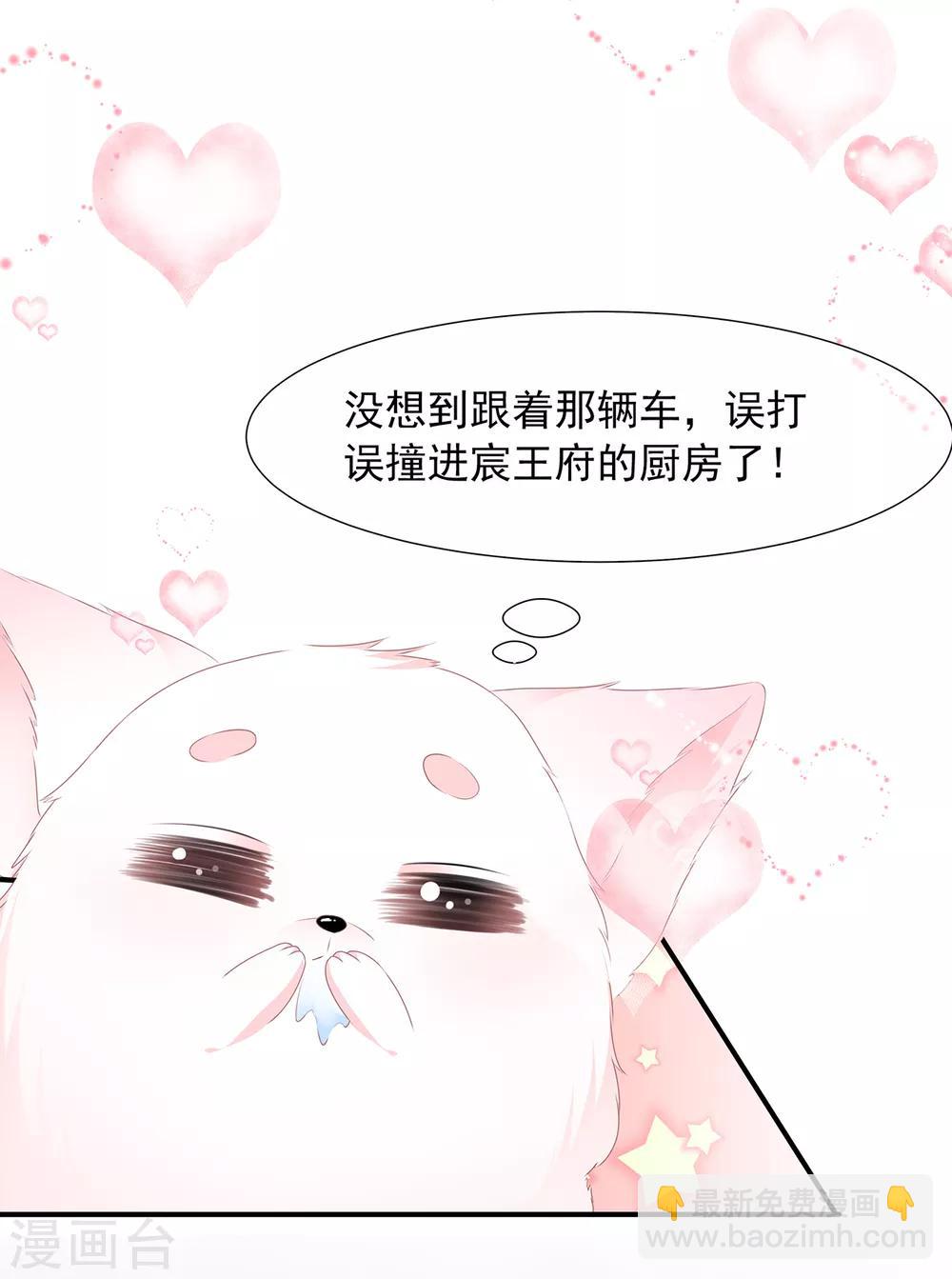 《狐妃,别惹我》第1话 穿越成狐 第21页