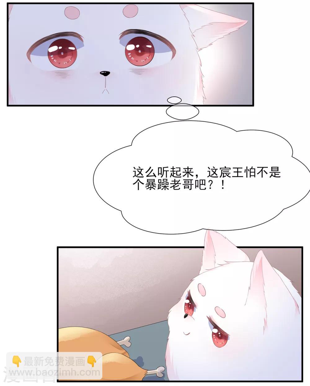 《狐妃,别惹我》第1话 穿越成狐 第25页