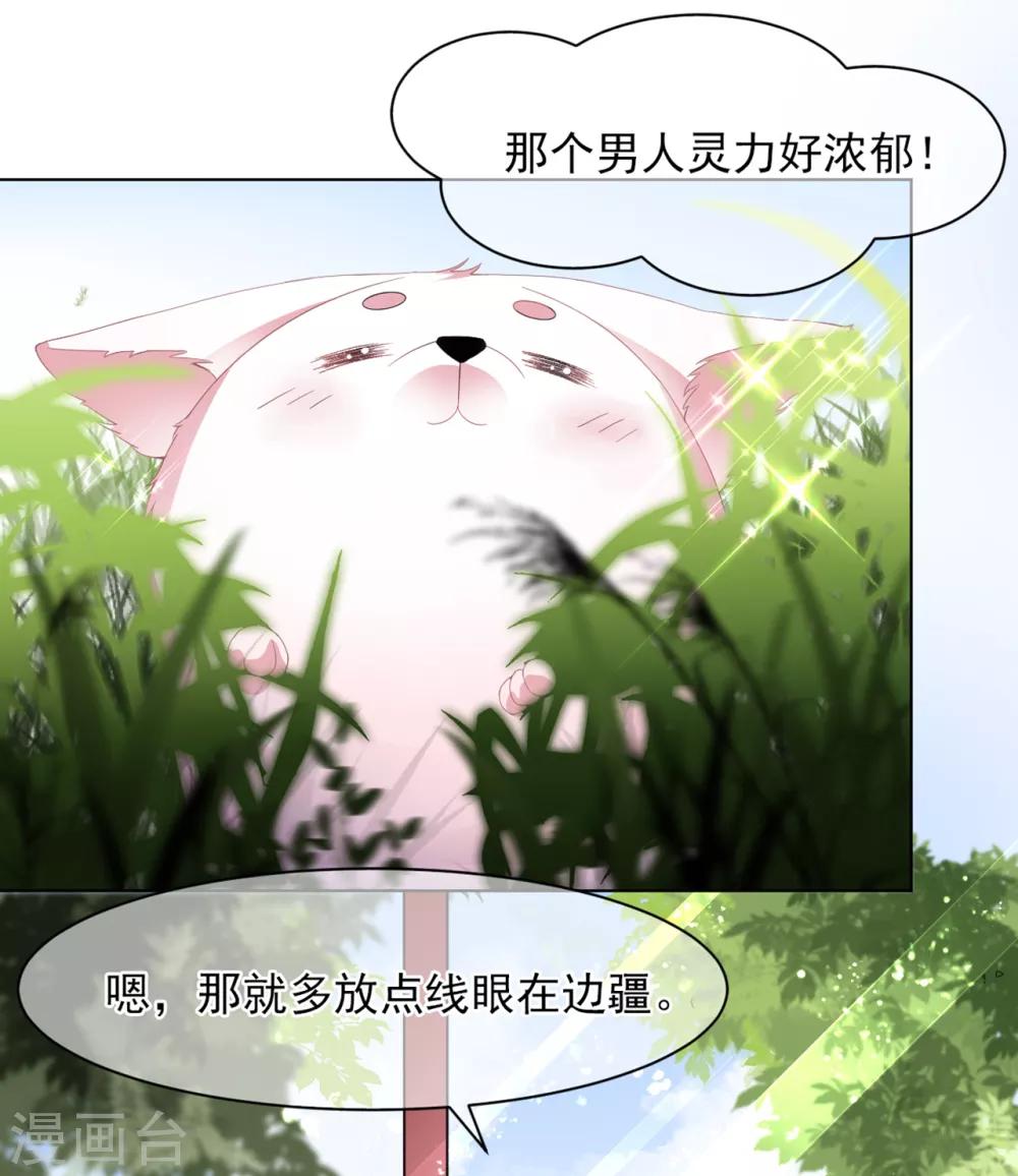 《狐妃,别惹我》第1话 穿越成狐 第34页