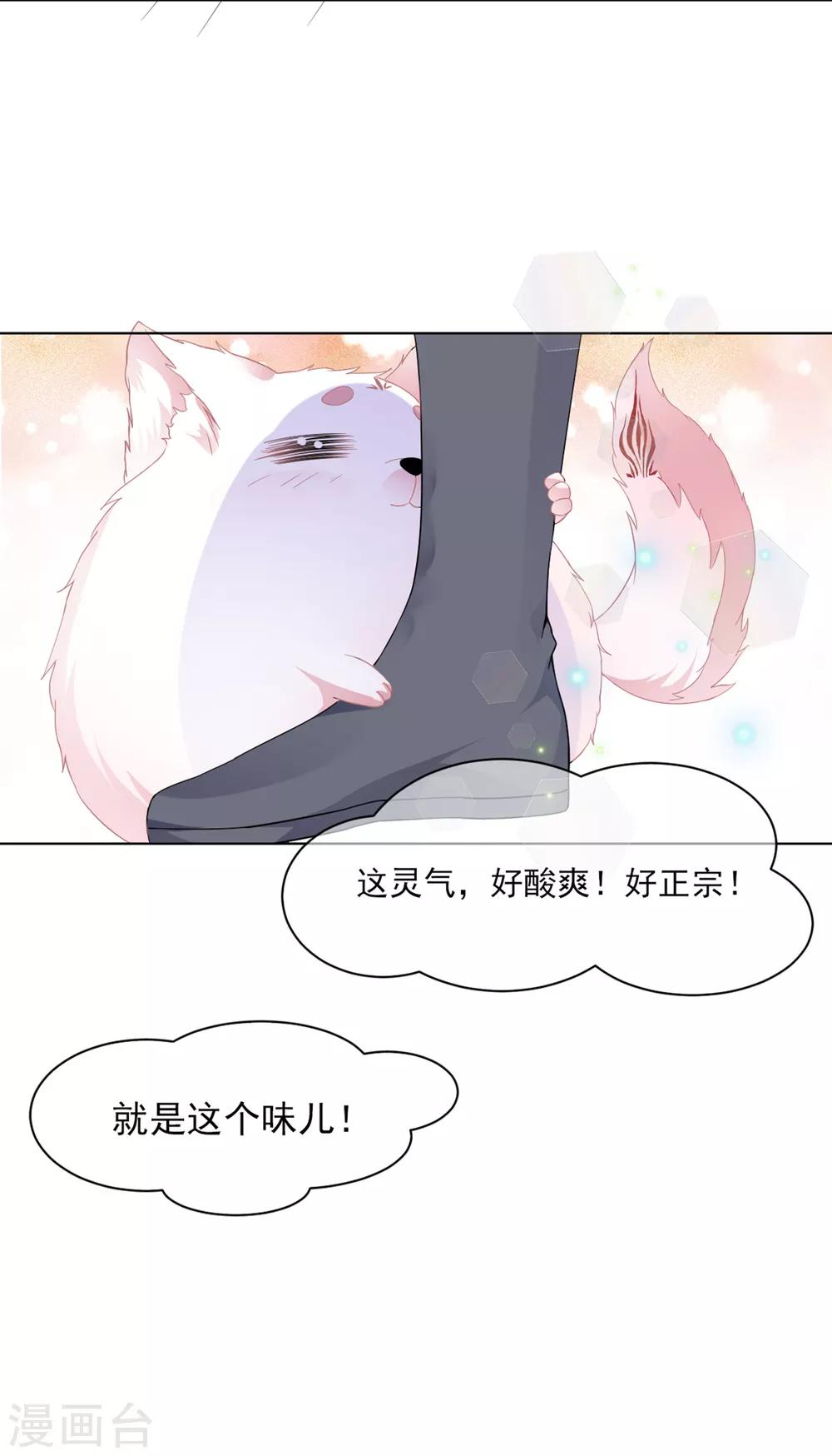 《狐妃,别惹我》第1话 穿越成狐 第37页