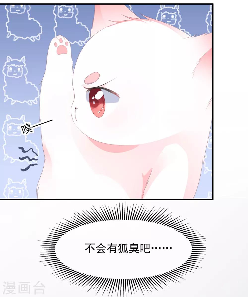 《狐妃,别惹我》预告 第6页