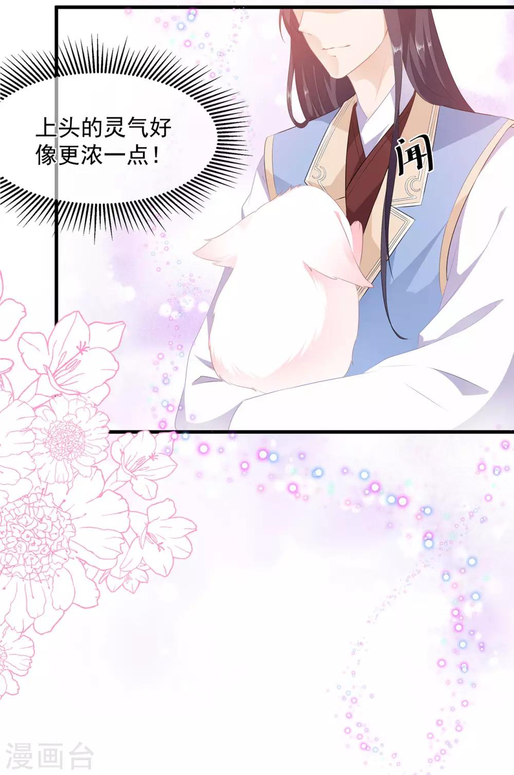 《狐妃,别惹我》第4话 萌宠生涯 第11页
