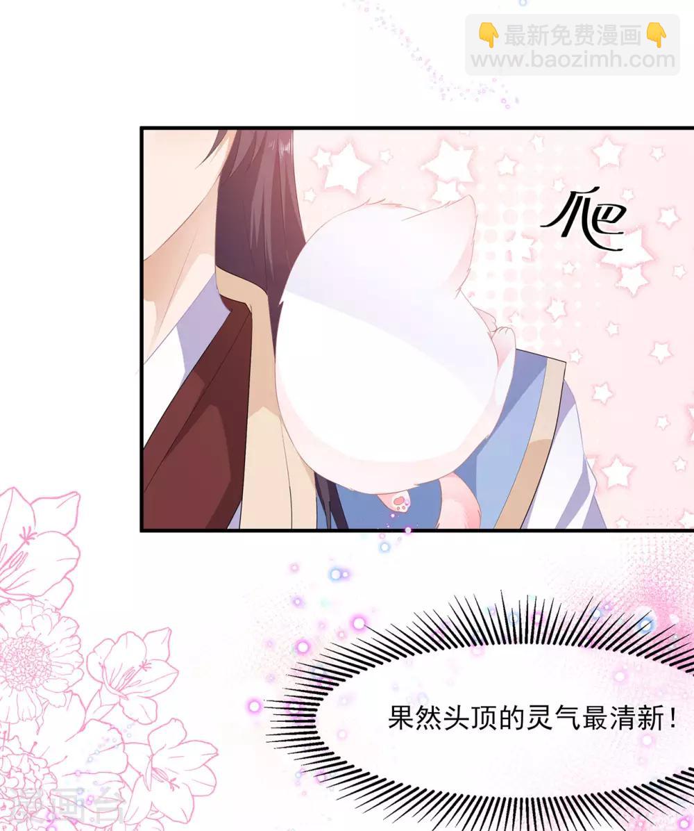 《狐妃,别惹我》第4话 萌宠生涯 第13页