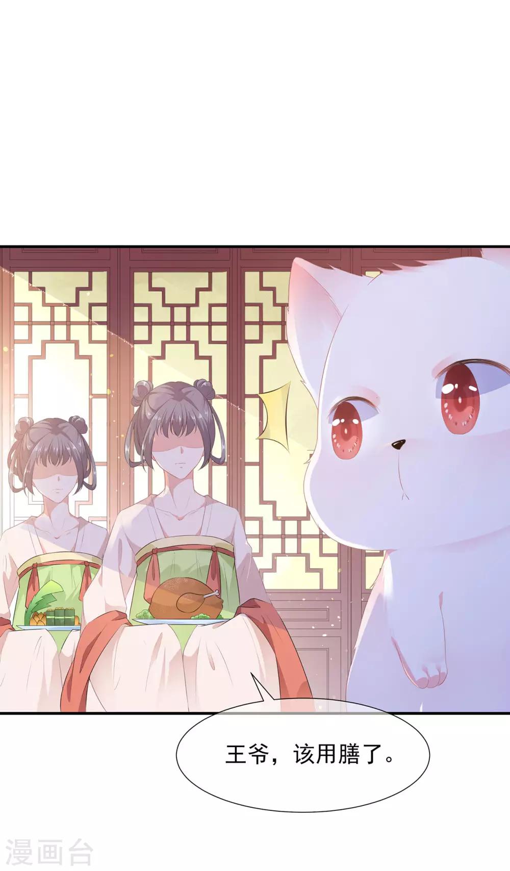 《狐妃,别惹我》第4话 萌宠生涯 第16页
