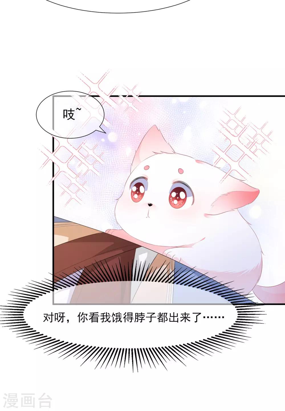 《狐妃,别惹我》第4话 萌宠生涯 第22页