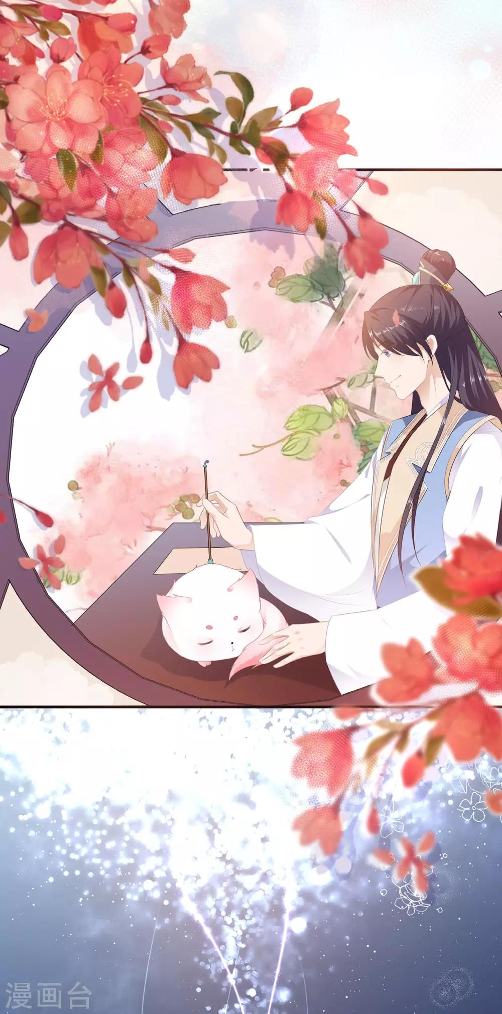 《狐妃,别惹我》第4话 萌宠生涯 第29页