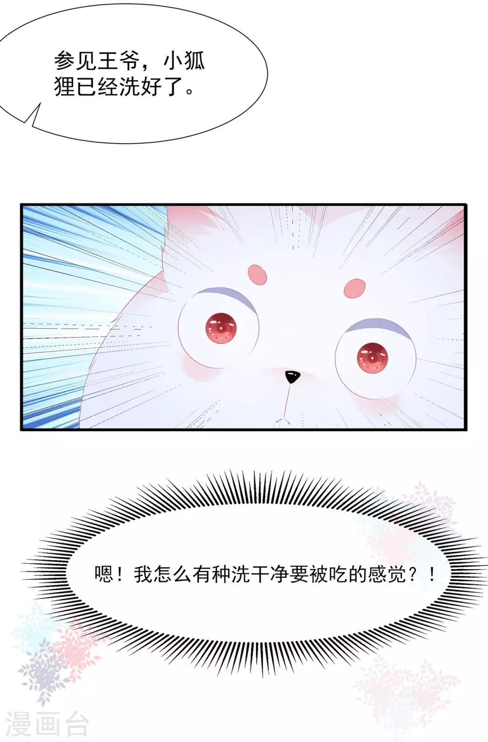 《狐妃,别惹我》第4话 萌宠生涯 第4页