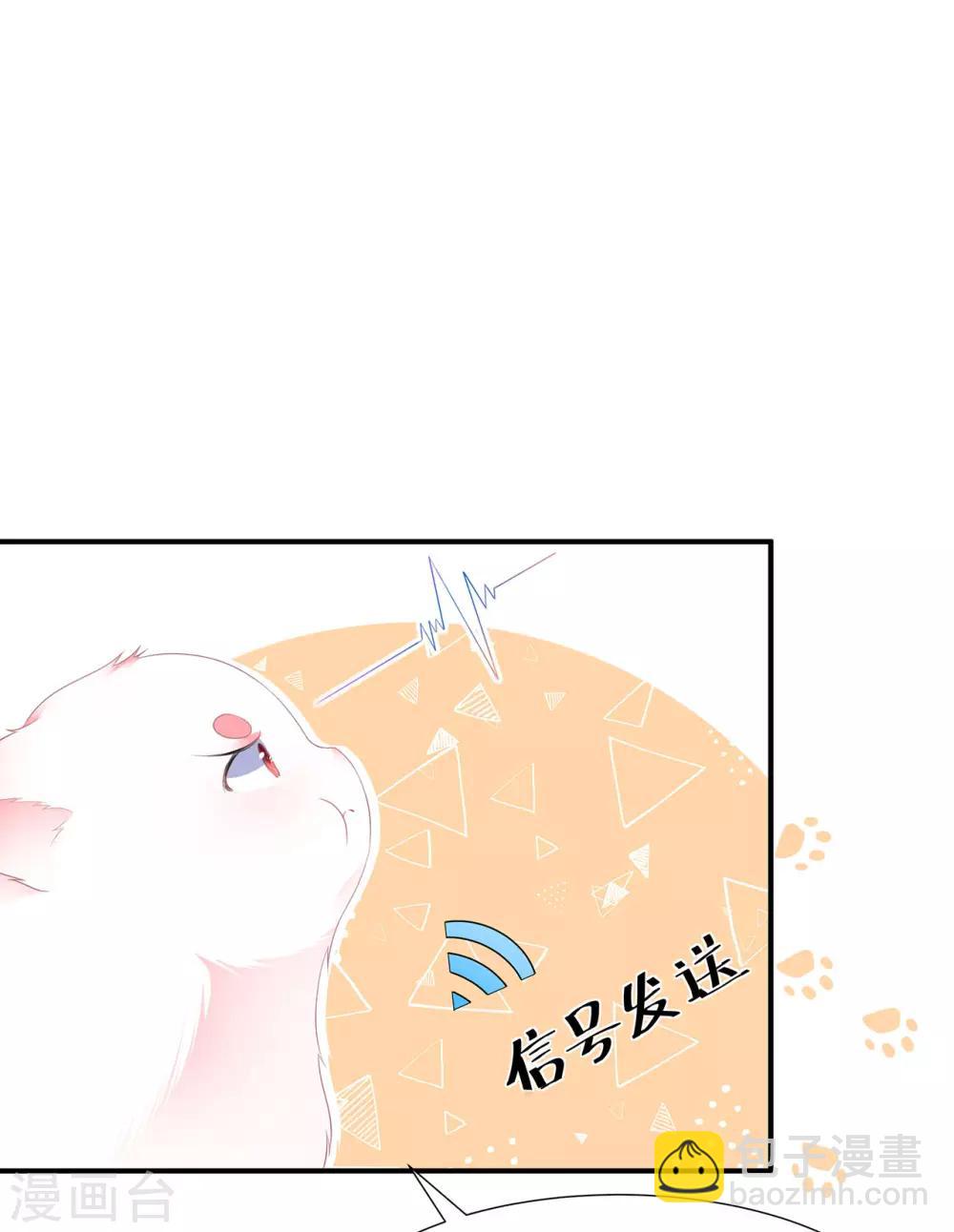 《狐妃,别惹我》第4话 萌宠生涯 第6页