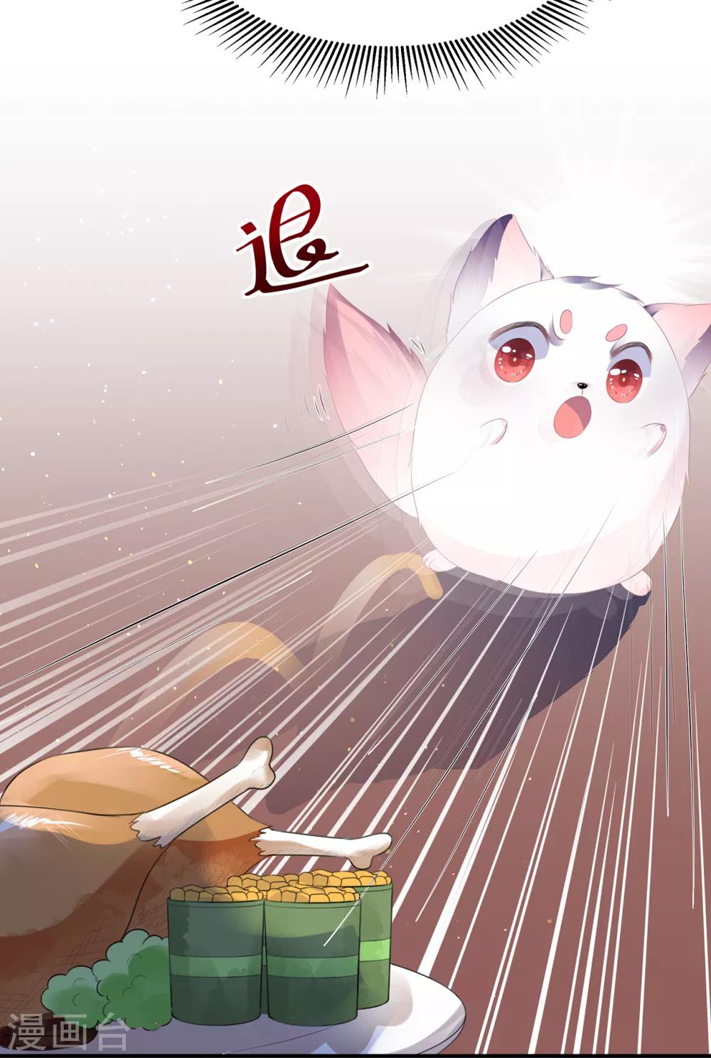 《狐妃,别惹我》第7话 是狐是猪 第25页