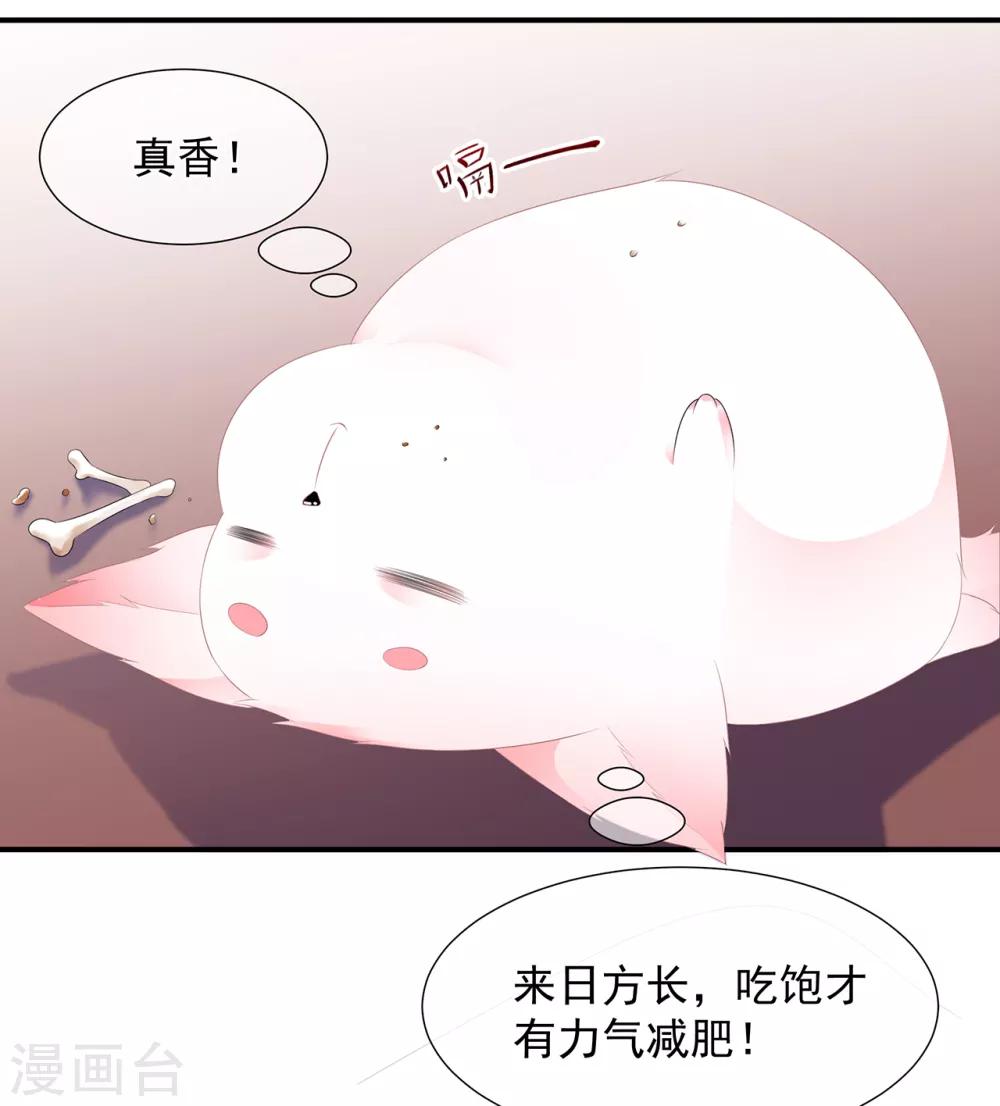 《狐妃,别惹我》第7话 是狐是猪 第29页