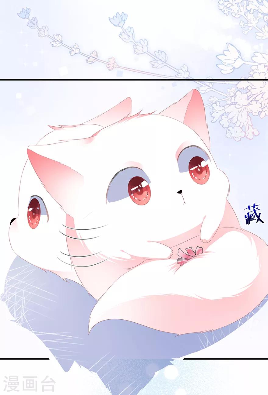 《狐妃,别惹我》第11话 侍女报复 第13页