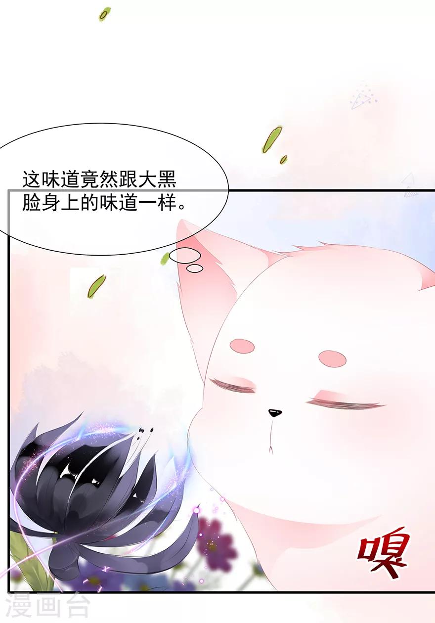 《狐妃,别惹我》第11话 侍女报复 第4页