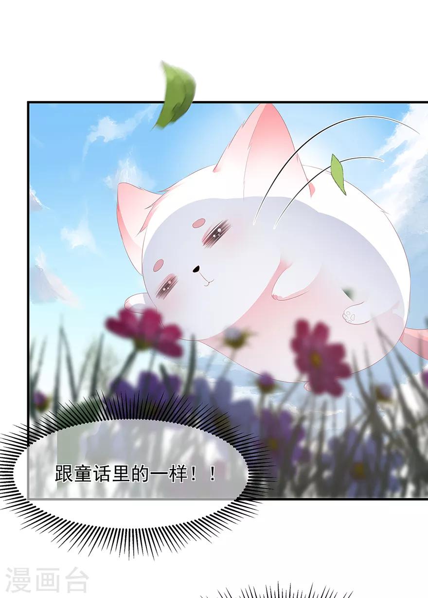 《狐妃,别惹我》第10话 招惹祸端 第30页