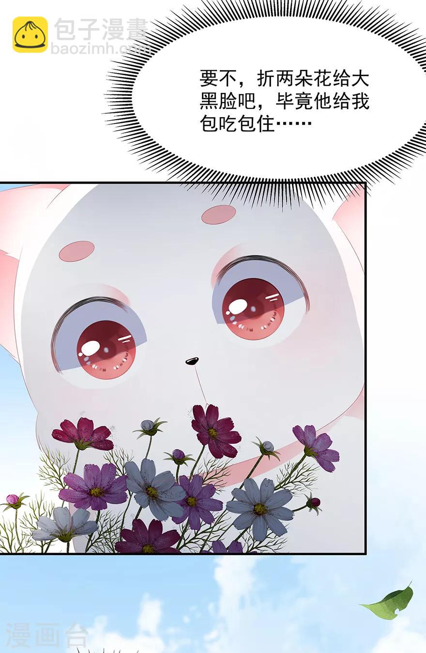 《狐妃,别惹我》第10话 招惹祸端 第31页