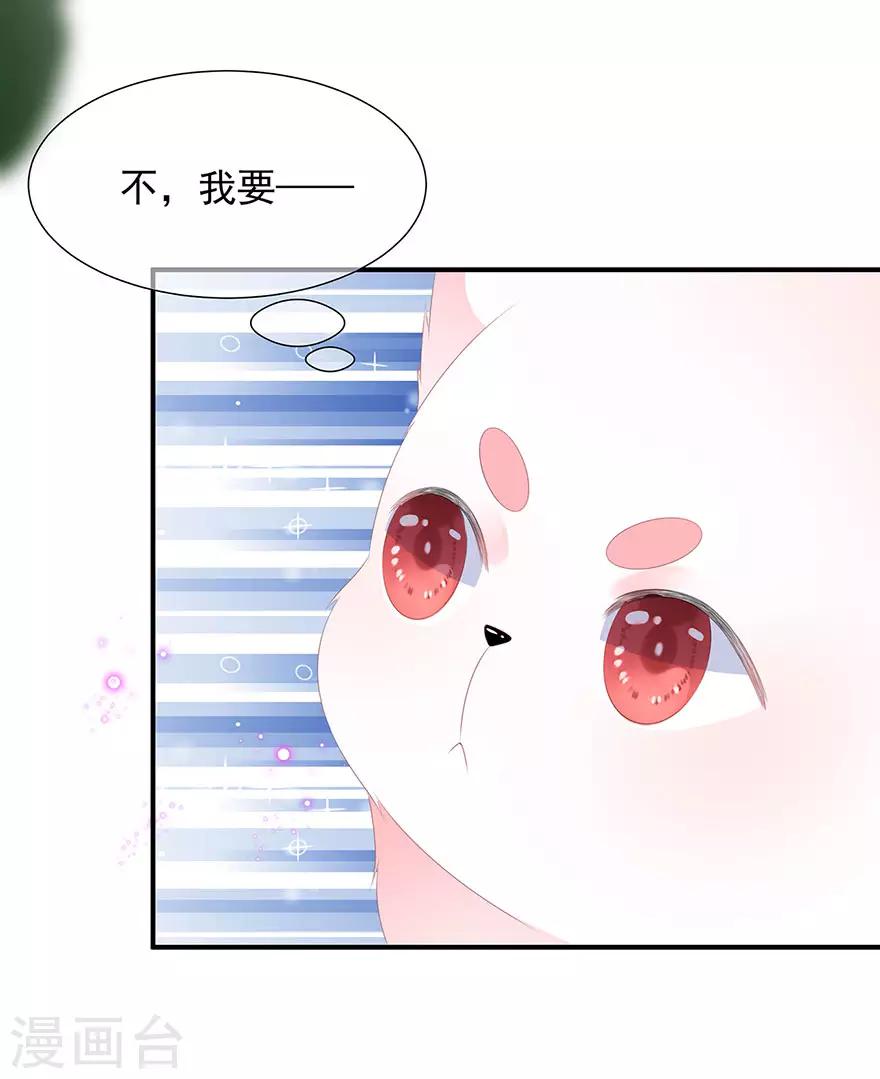 《狐妃,别惹我》第15话 灵力提升 第28页