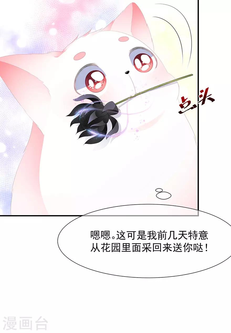 《狐妃,别惹我》第14话 灵狐报怨 第31页