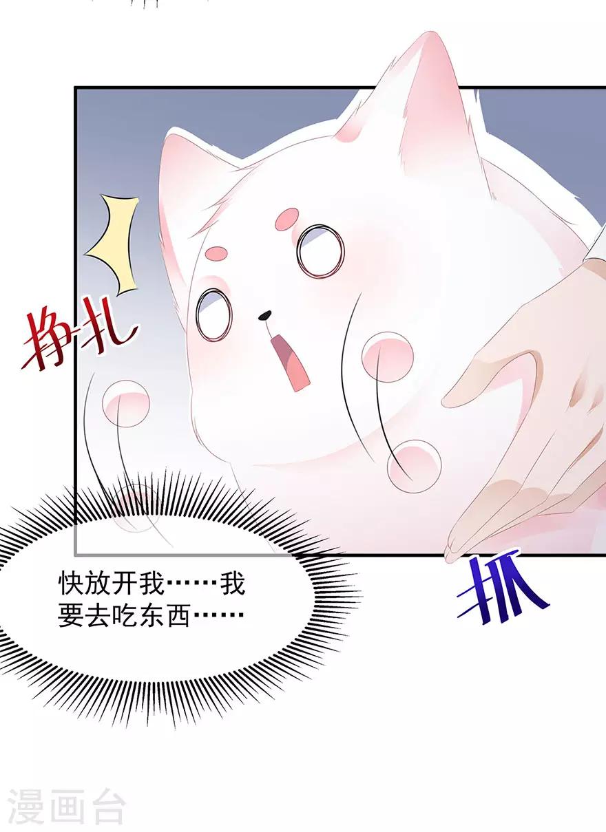《狐妃,别惹我》第17话 灵狐入宫 第31页
