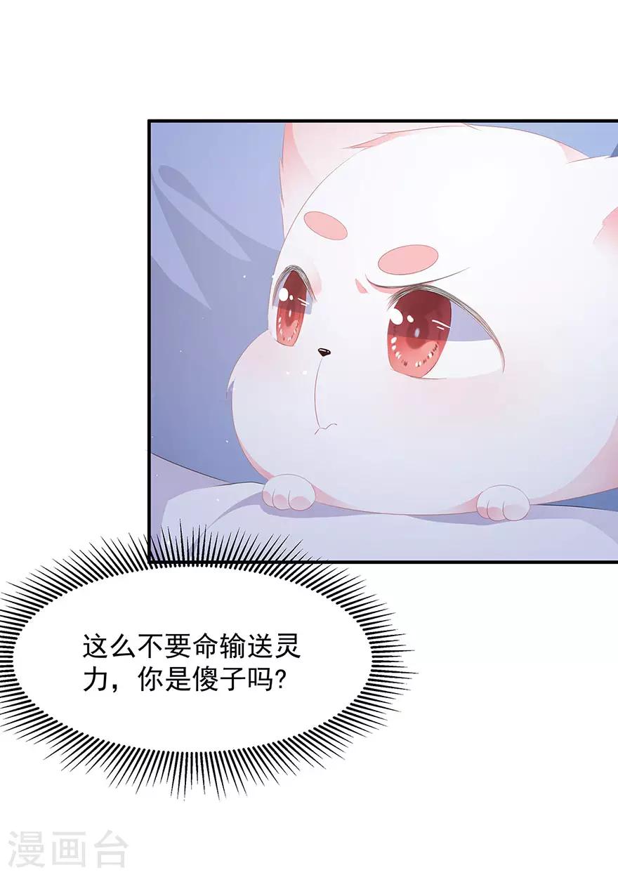 《狐妃,别惹我》第17话 灵狐入宫 第4页