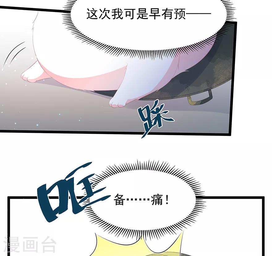 《狐妃,别惹我》第22话 妙手丹青 第5页