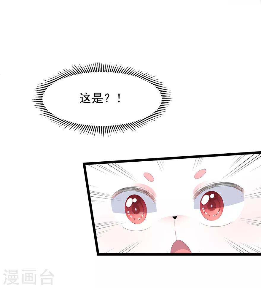 《狐妃,别惹我》第21话 接连遇险 第23页