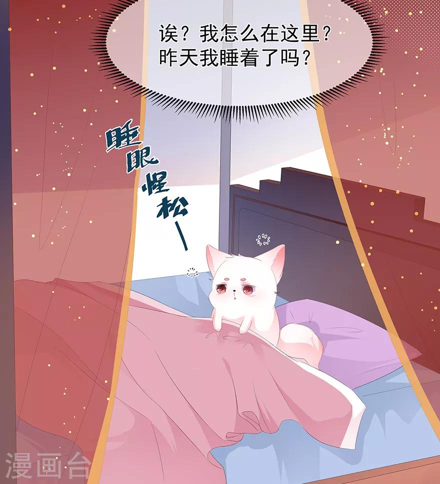 《狐妃,别惹我》第21话 接连遇险 第4页