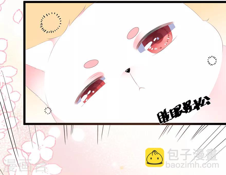《狐妃,别惹我》第24话 主仆互怜 第16页