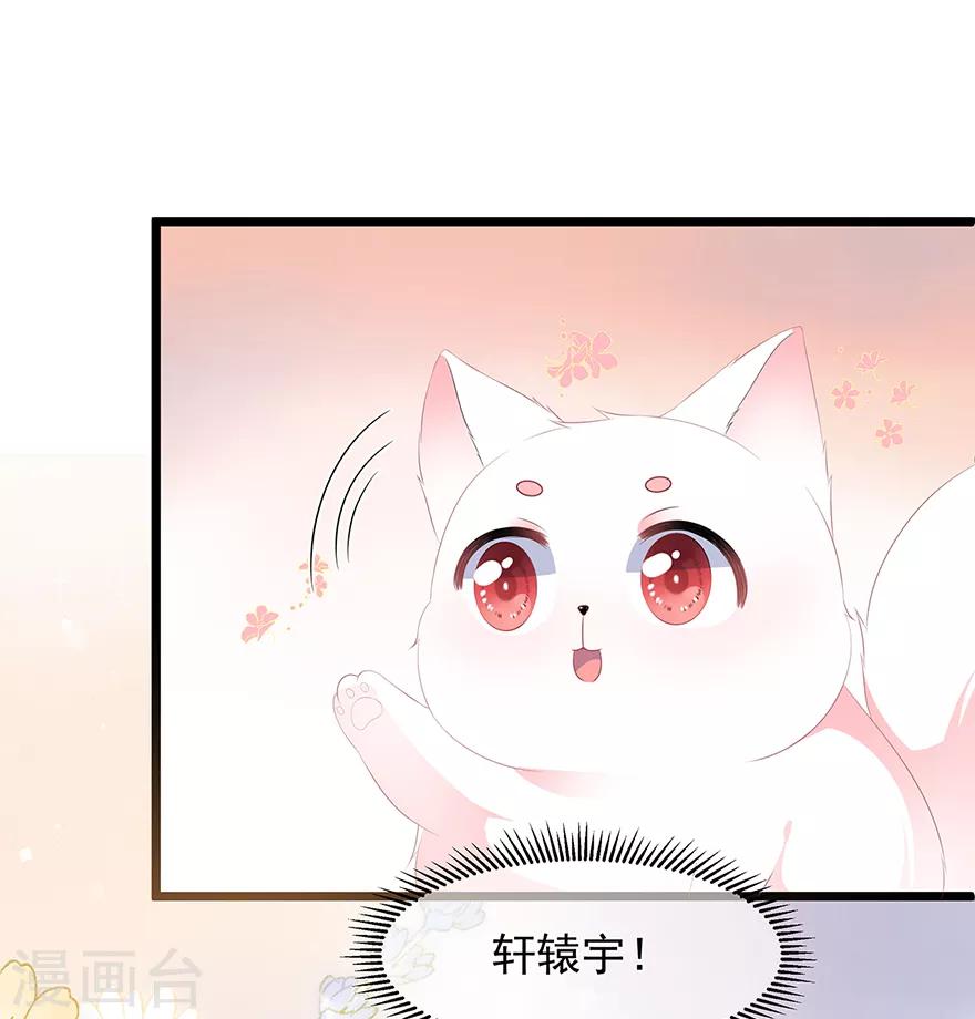 《狐妃,别惹我》第25话 宸王下厨 第7页