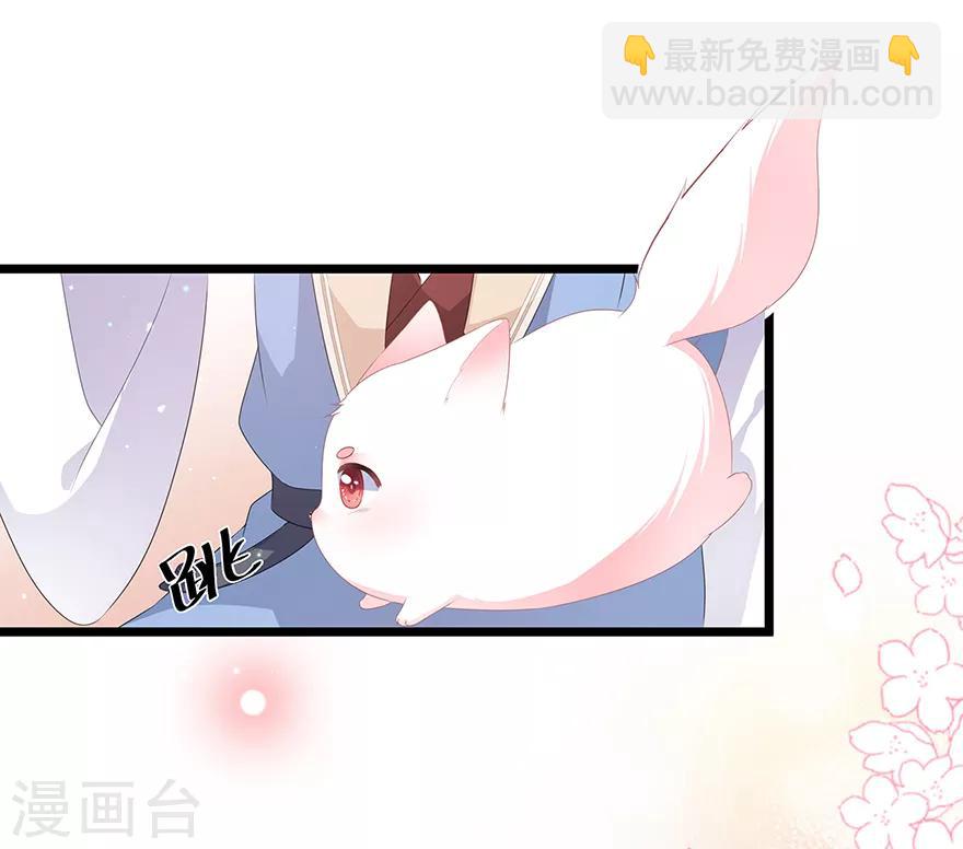 《狐妃,别惹我》第27话 肥狐逛街 第15页