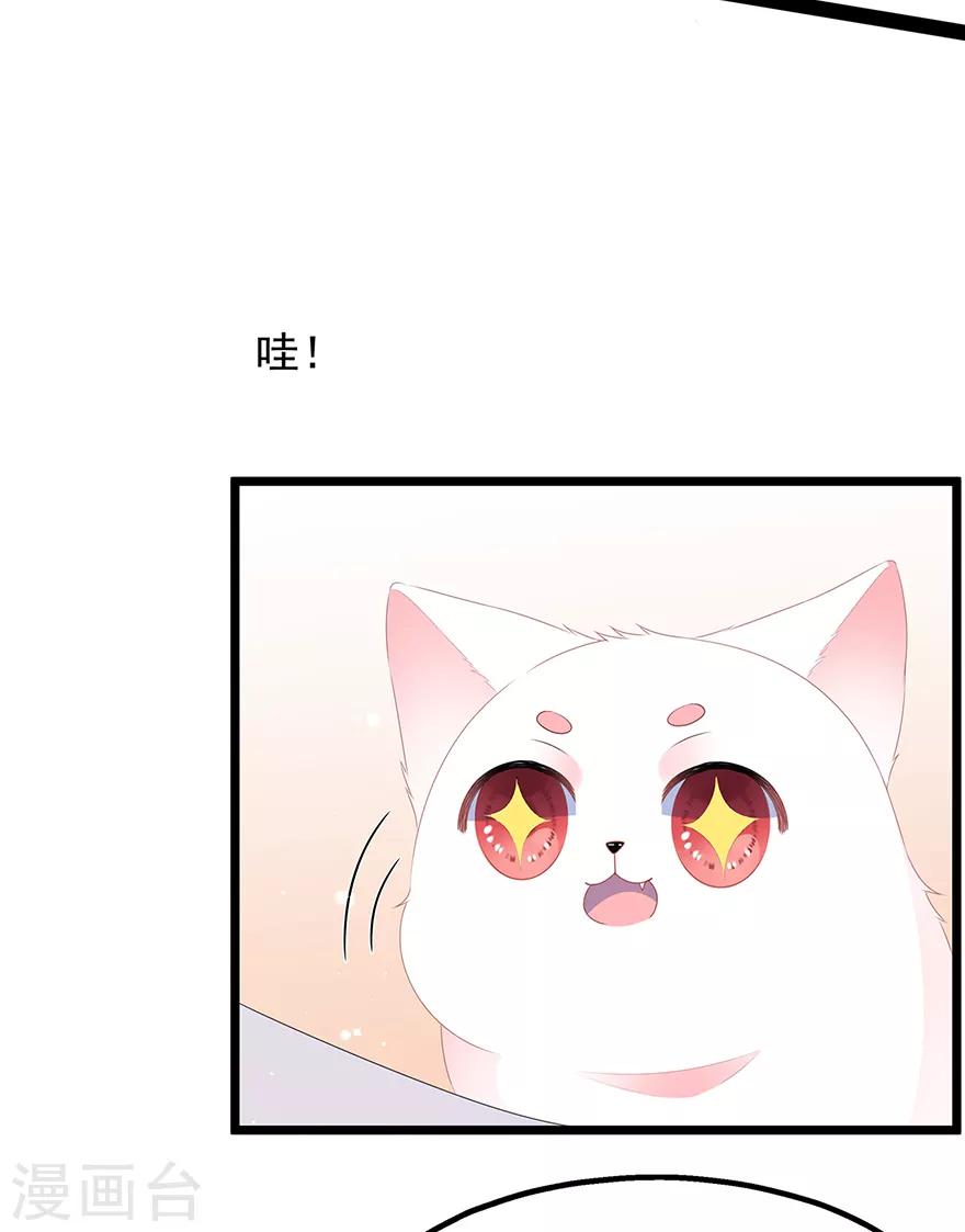 《狐妃,别惹我》第27话 肥狐逛街 第7页