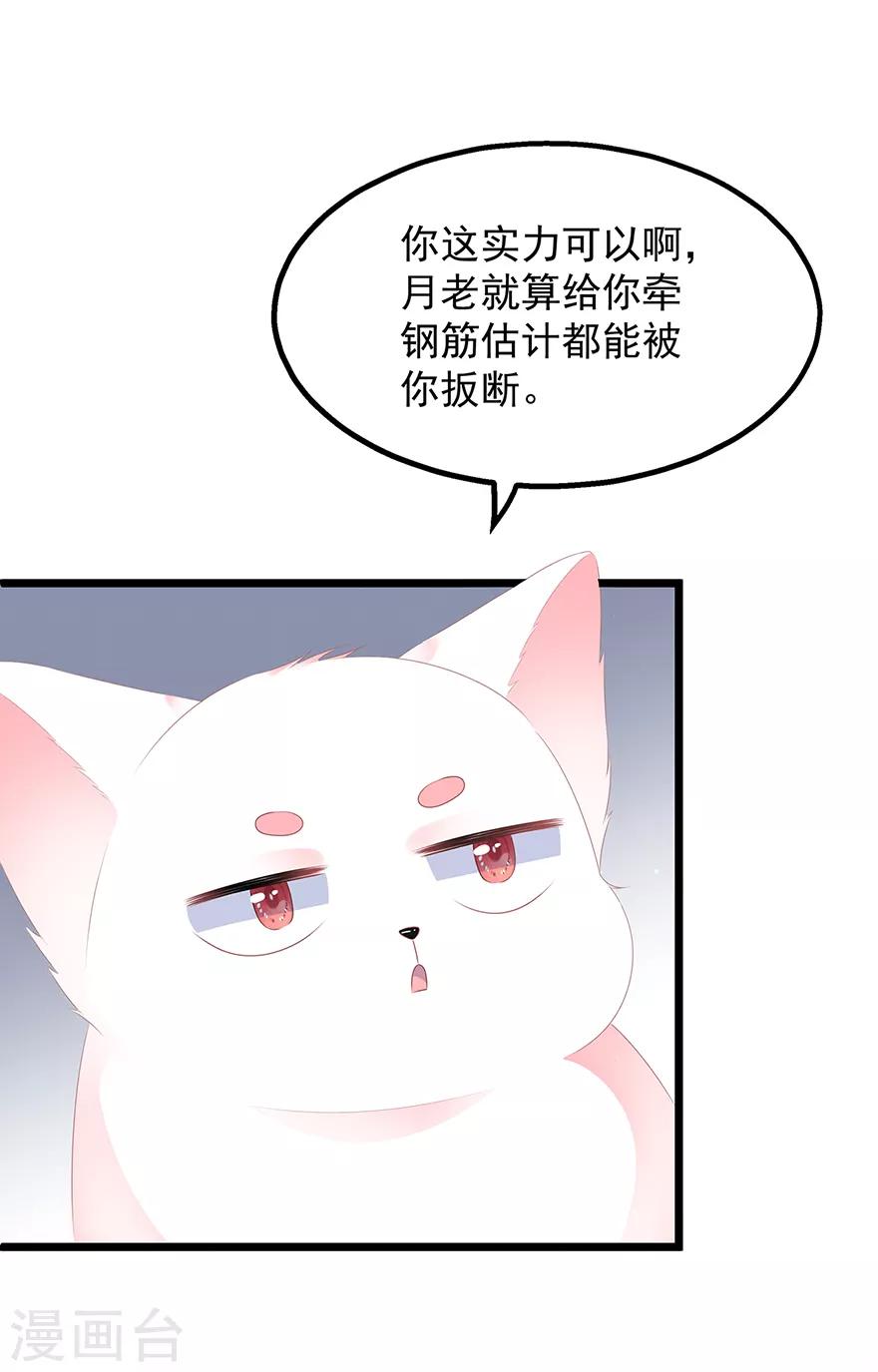 《狐妃,别惹我》第28话 偶遇渣男 第17页