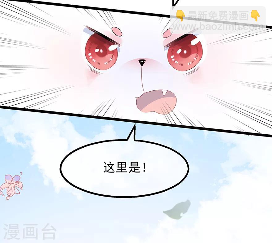 《狐妃,别惹我》第29话 美人身世 第42页